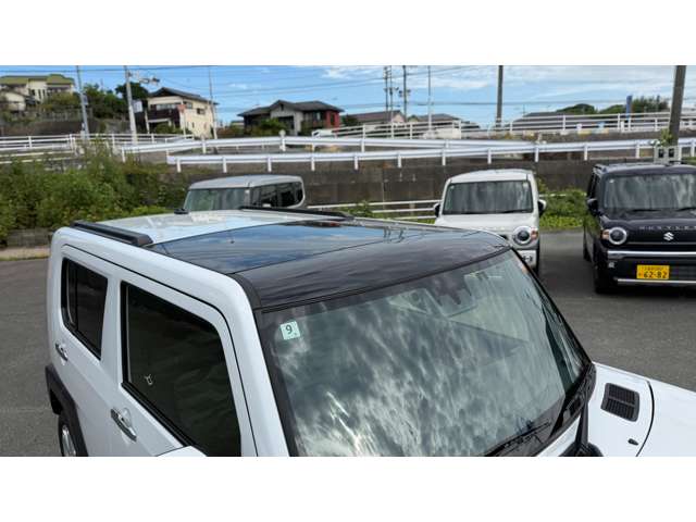 Daihatsu Taft 9