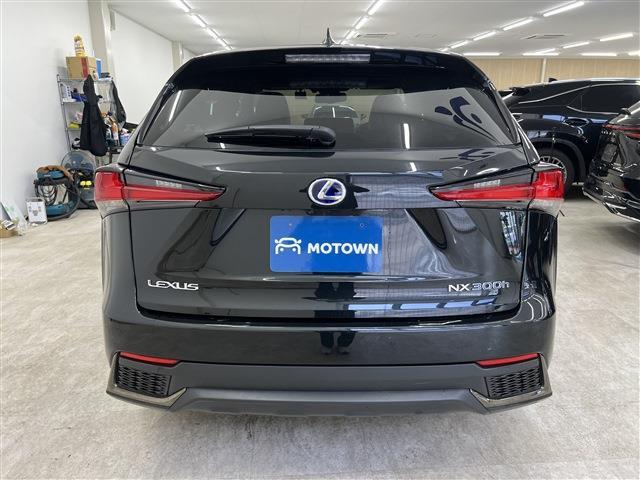 Lexus NX 12