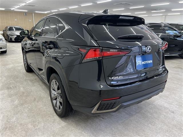 Lexus NX 10