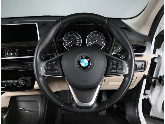 BMW X1 10