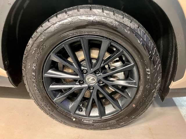 Lexus NX 12