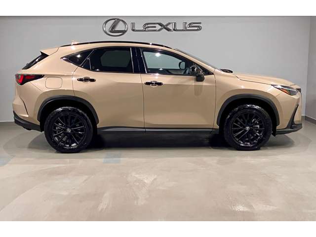 Lexus NX 6