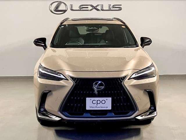 Lexus NX 7