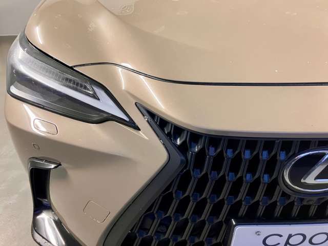 Lexus NX 9