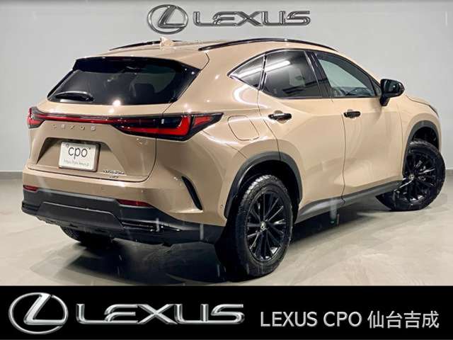 Lexus NX 10