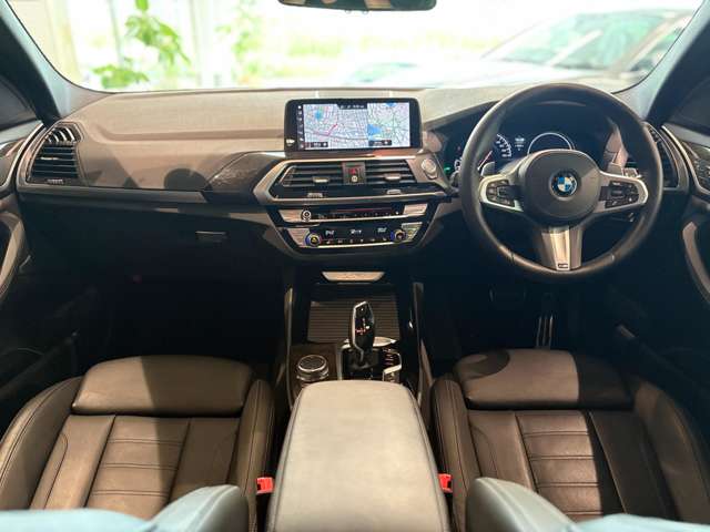 BMW X3 9