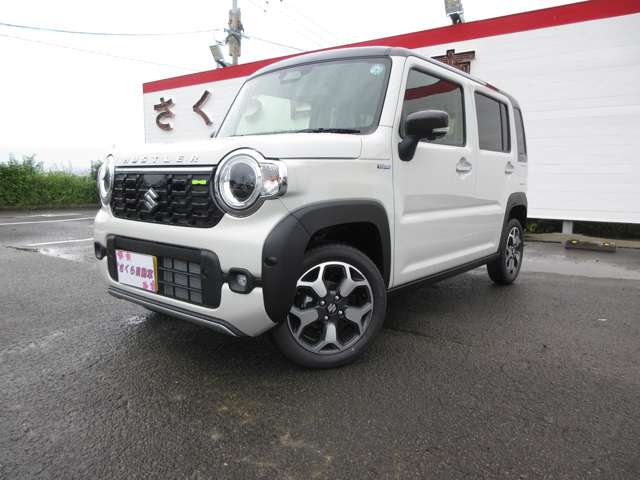 Suzuki Hustler 7