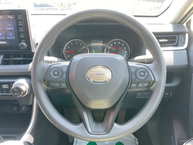 Mitsuoka バディ 12