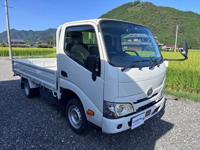 Toyota Dyna 10