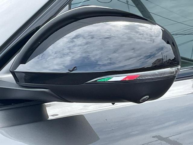 Alfa Romeo トナーレ 9