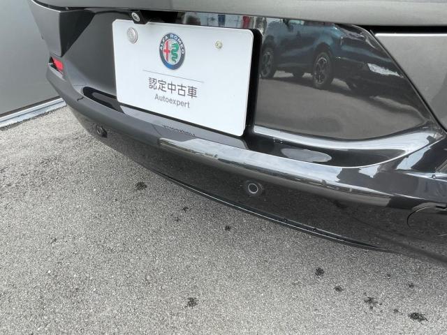Alfa Romeo トナーレ 10