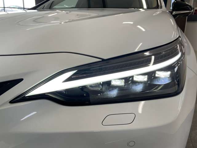 Lexus NX 12