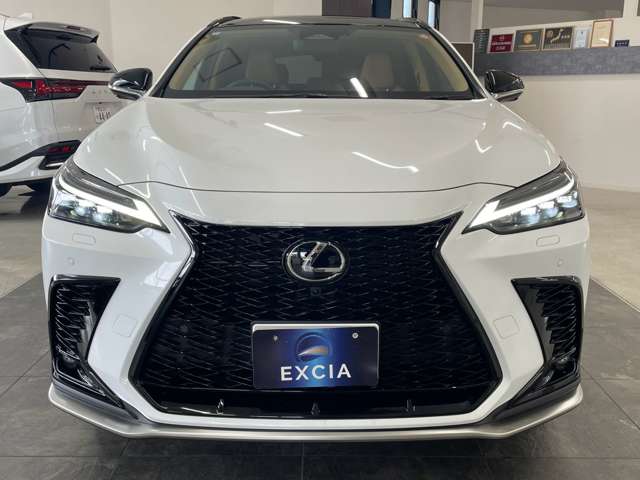 Lexus NX 4