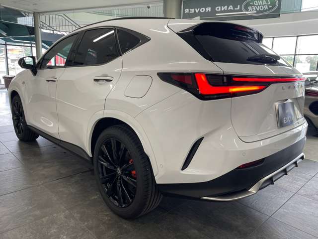 Lexus NX 6