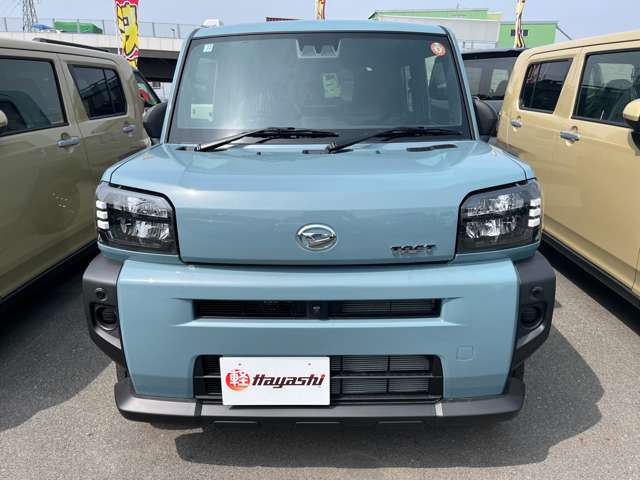 Daihatsu Taft 6
