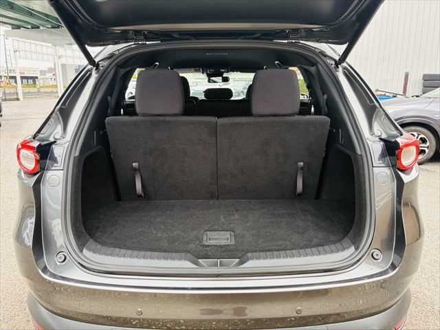 Mazda CX-8 12