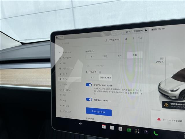 Tesla Model Y 12