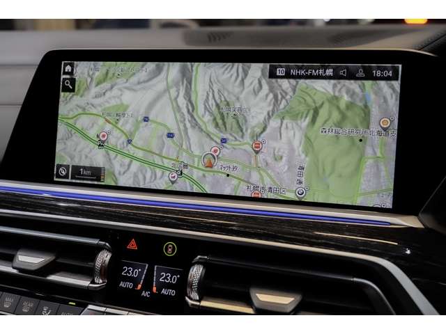 BMW X7 10