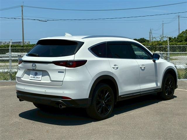 Mazda CX-8 6