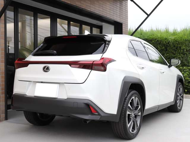 Lexus UX 11