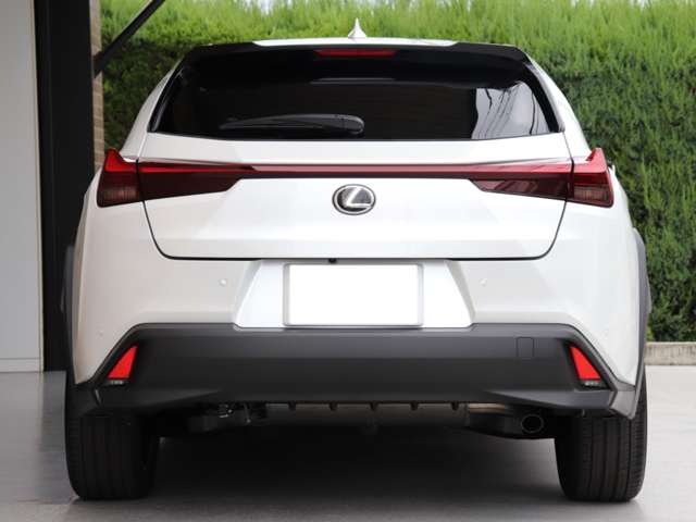 Lexus UX 7