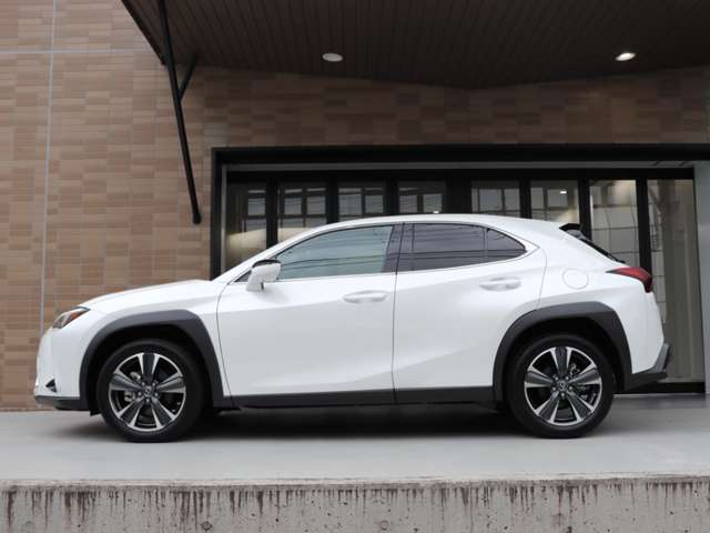 Lexus UX 8