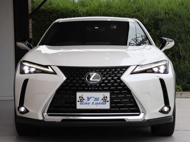 Lexus UX 9