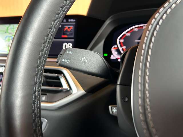 BMW X7 12