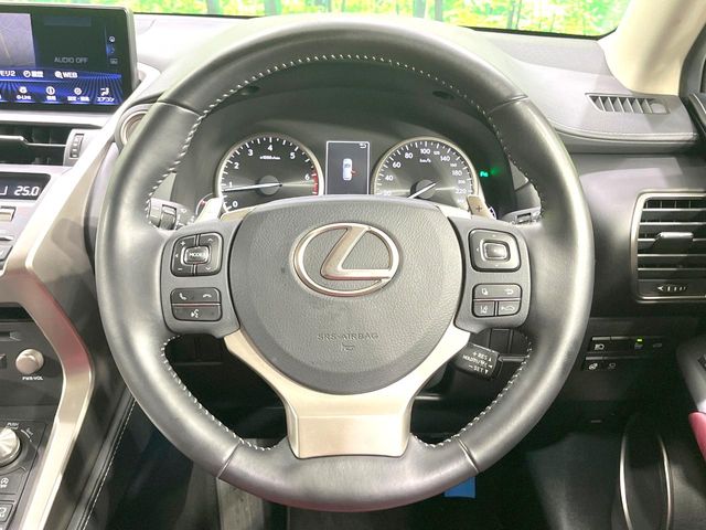 Lexus NX 12