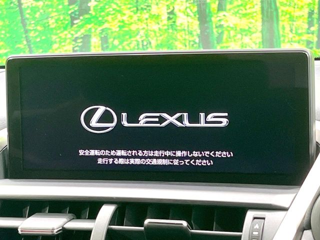 Lexus NX 3