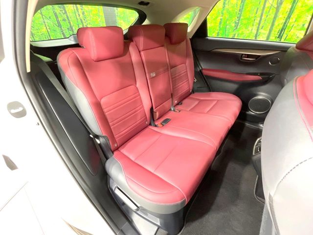 Lexus NX 10