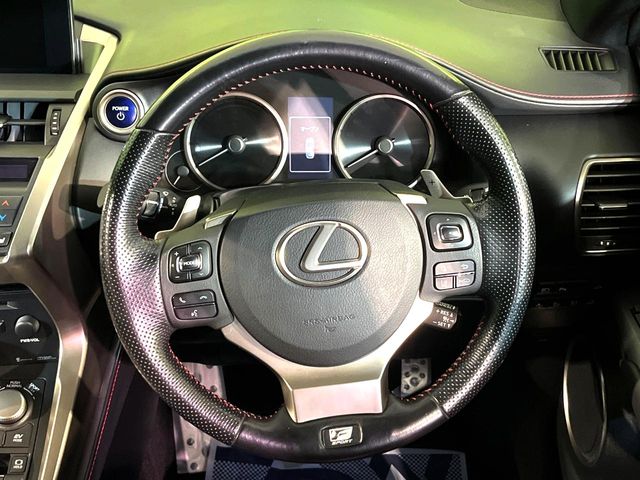 Lexus NX 11