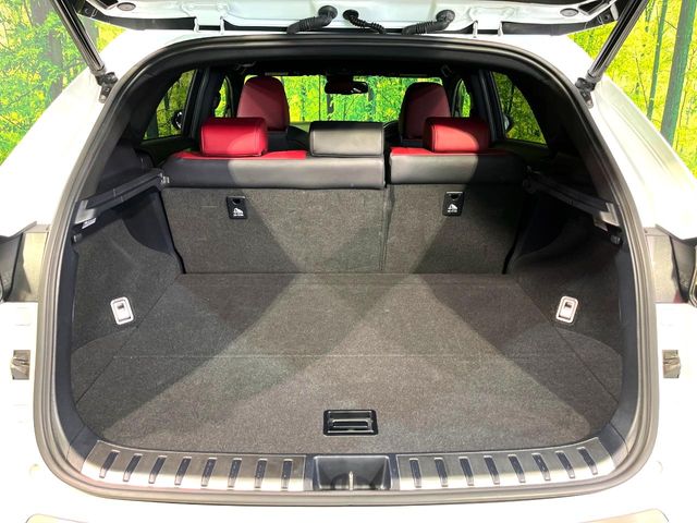 Lexus NX 10