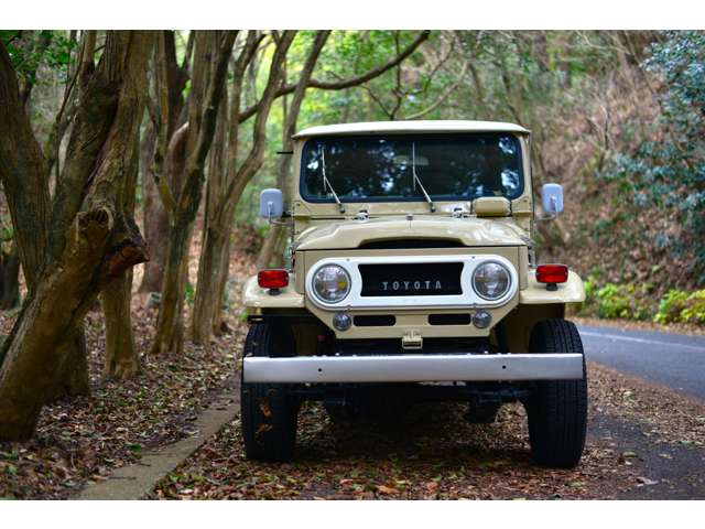 Toyota Land Cruiser 40 11