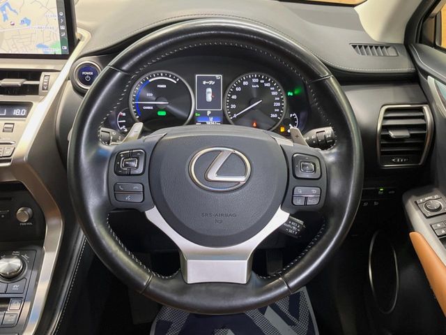 Lexus NX 11