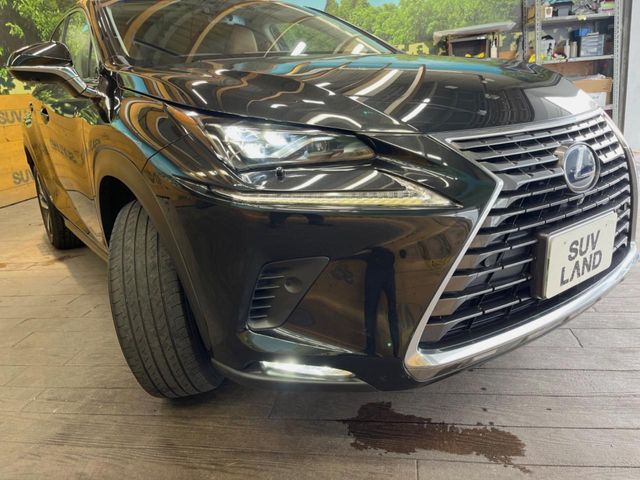 Lexus NX 12