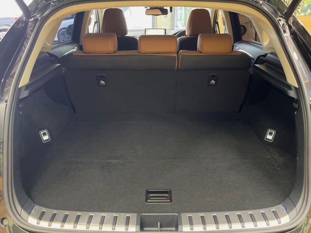 Lexus NX 10