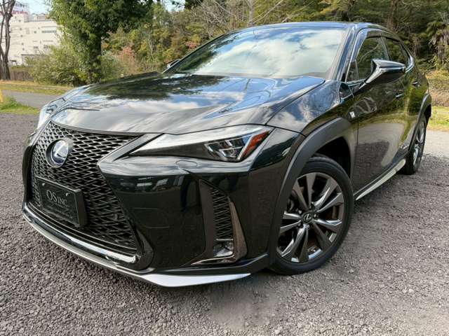 Lexus UX 9
