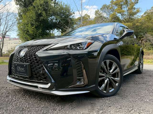 Lexus UX 10
