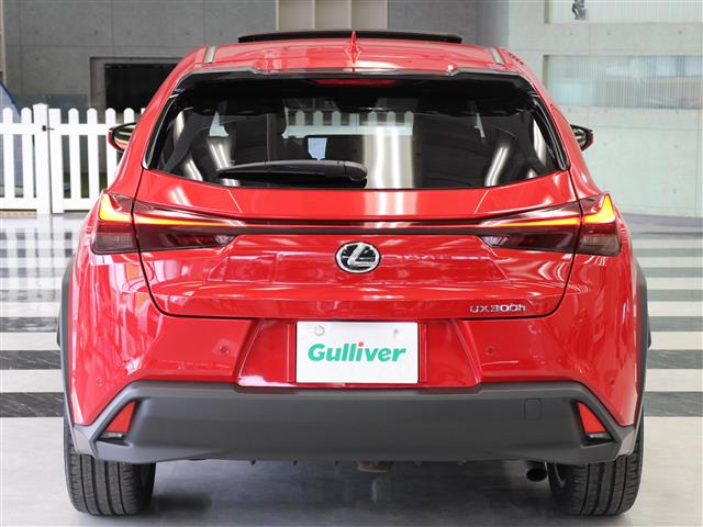 Lexus UX 6