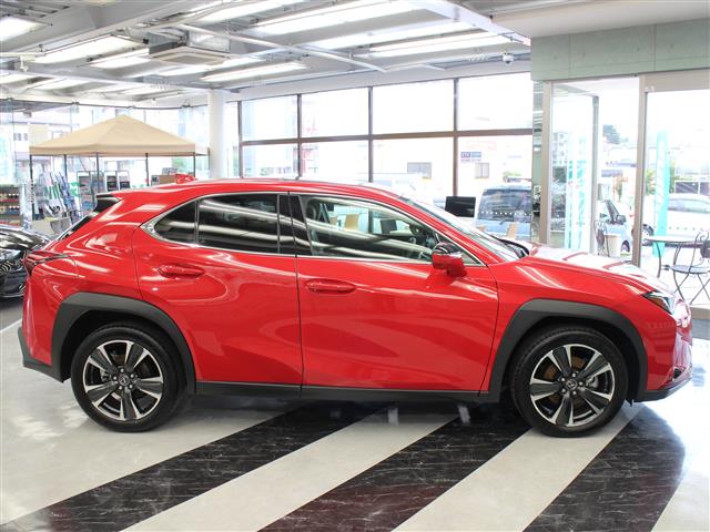 Lexus UX 8