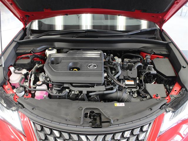 Lexus UX 10