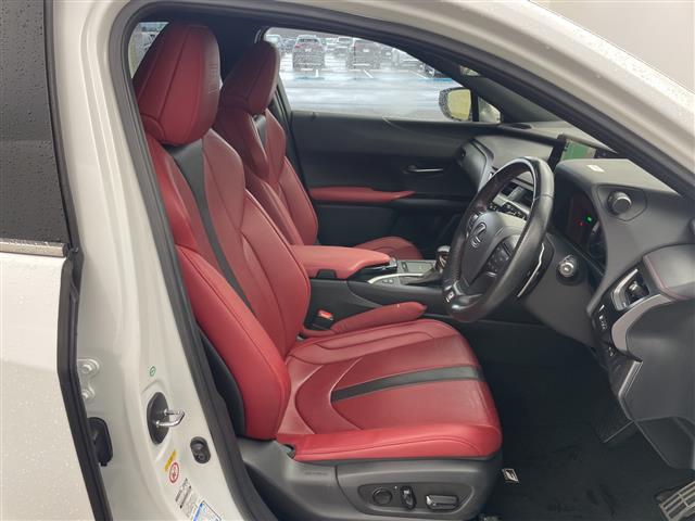 Lexus UX 10