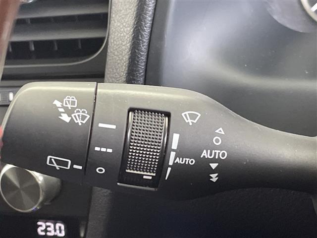 Lexus RX 11