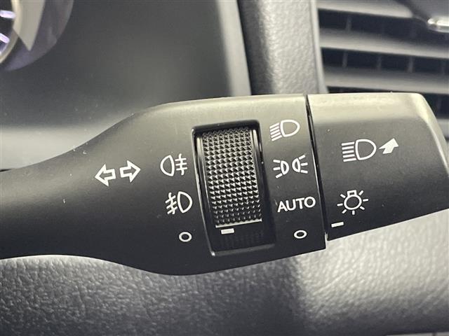 Lexus RX 12