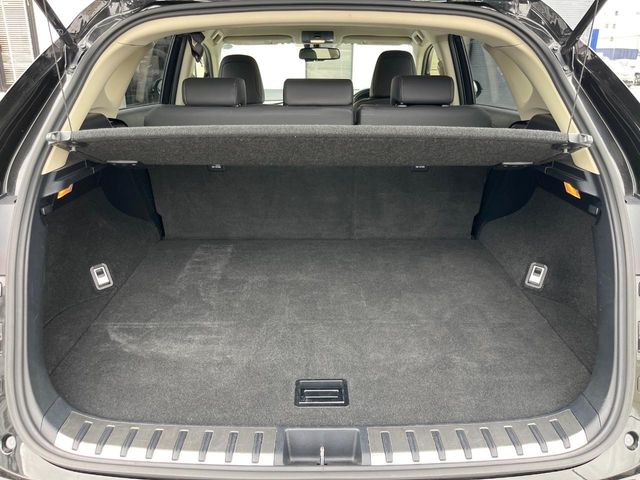 Lexus NX 11
