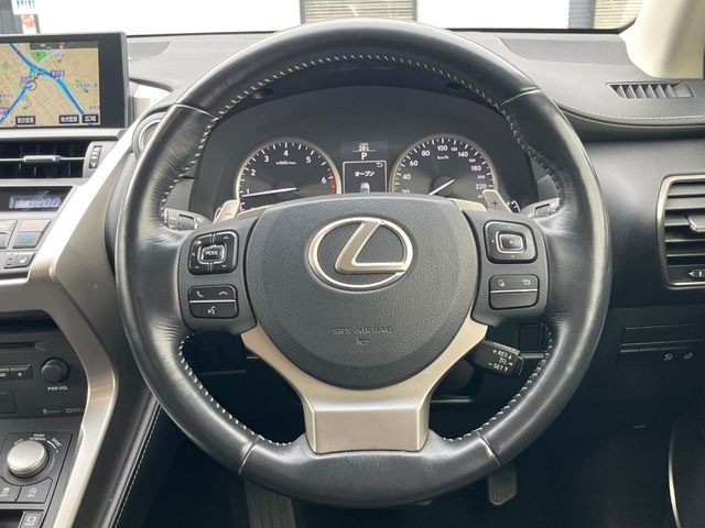 Lexus NX 12