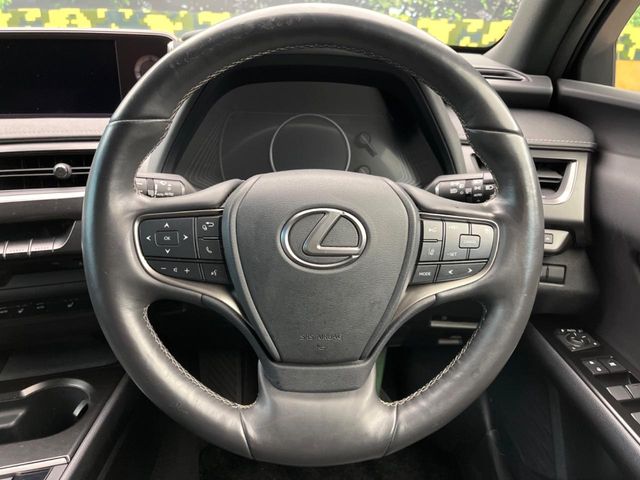 Lexus UX 11