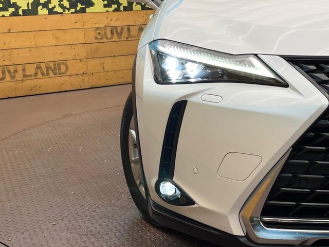 Lexus UX 12