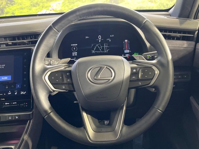 Lexus LBX 12